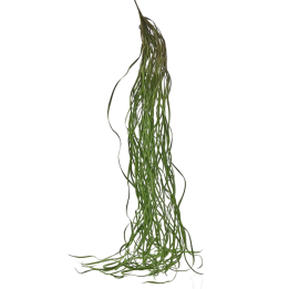 EDG Zostera Bell pianta pendente artificiale 100 cm