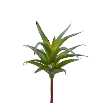 AGAVE BELL PICK H23