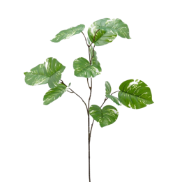 EDG Potus Olis variegato ramo artificiale 85 cm