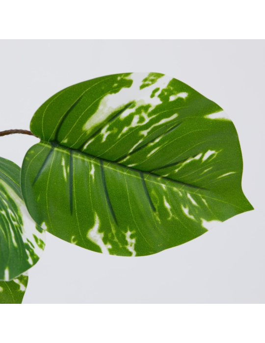 Ramo Artificiale Potus Olis Variegato H85 cm -...