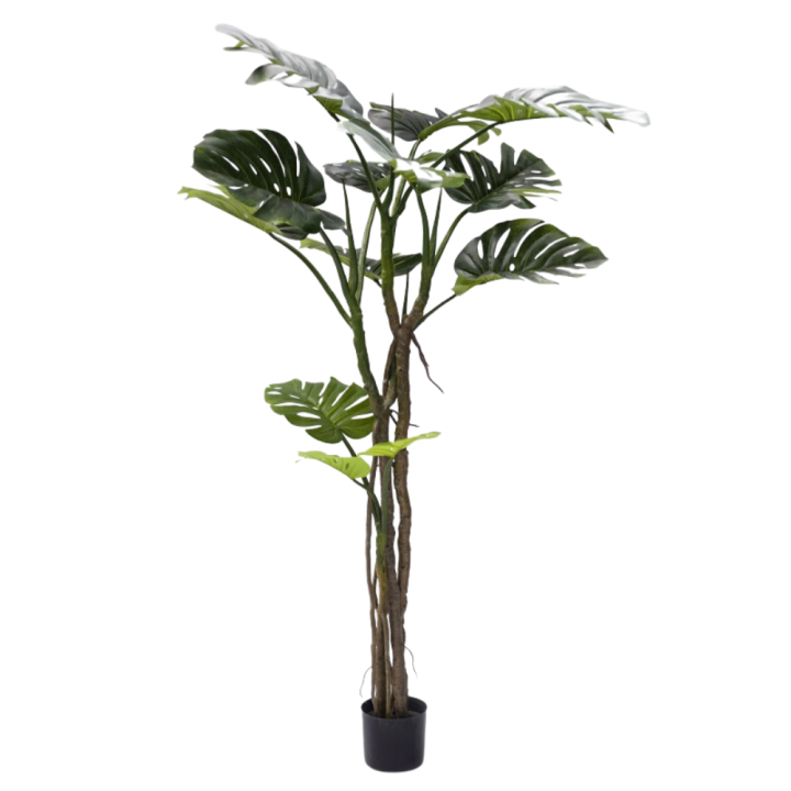 EDG Monstera Slim artificiale con vaso alta 180 cm