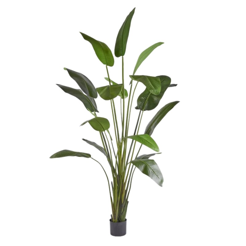 Pianta Artificiale Strelitzia H310 cm con Vaso – EDG Enzo De Gasperi