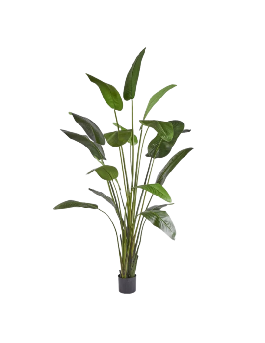 Pianta Artificiale Strelitzia H310 cm con Vaso – EDG Enzo De Gasperi