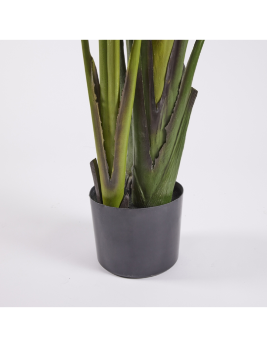 Pianta Artificiale Strelitzia H310 cm con Vaso...