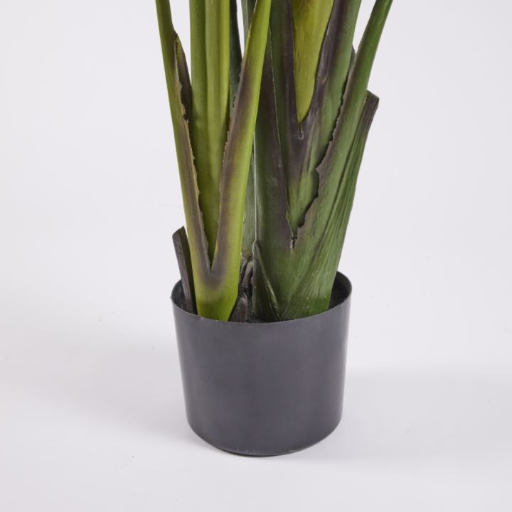 EDG Strelitzia artificiale con vaso alta 310 cm