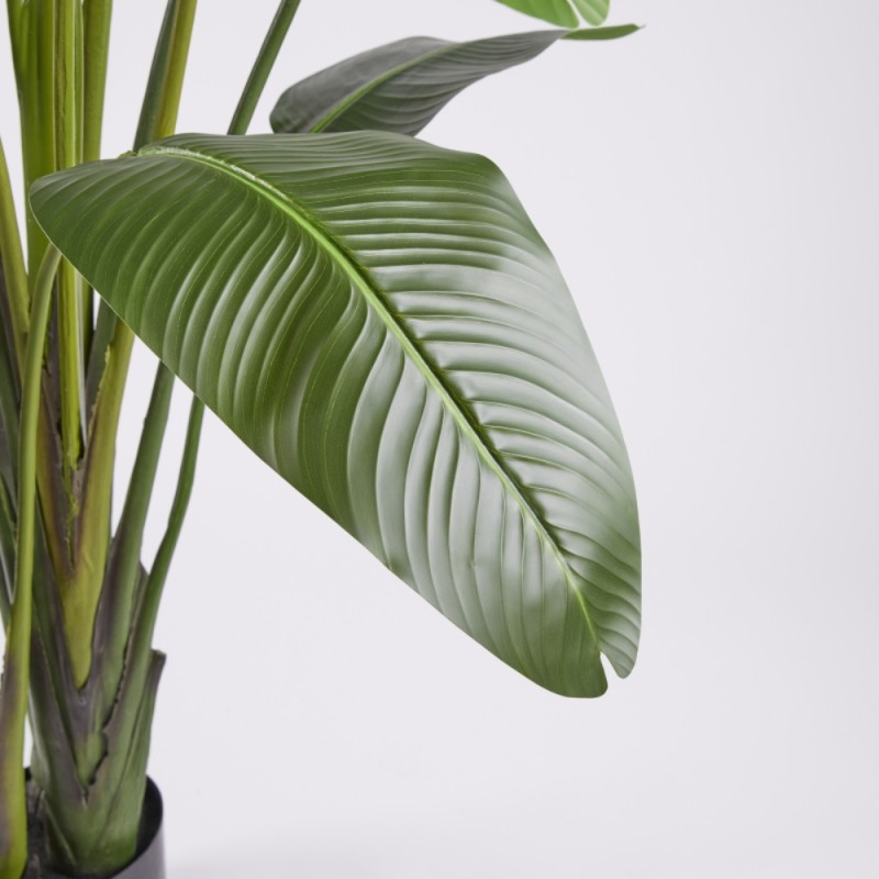 Pianta Artificiale Strelitzia H310 cm con Vaso...