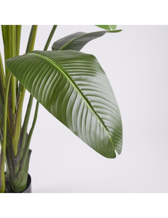 Pianta Artificiale Strelitzia H310 cm con Vaso...