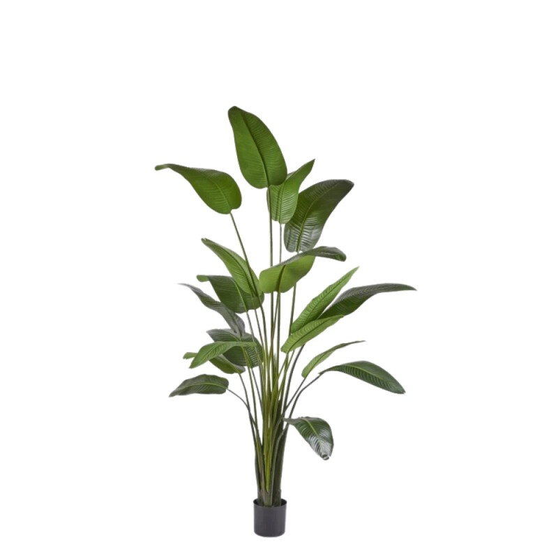 Pianta Artificiale Strelitzia H260 cm con Vaso – EDG Enzo De Gasperi
