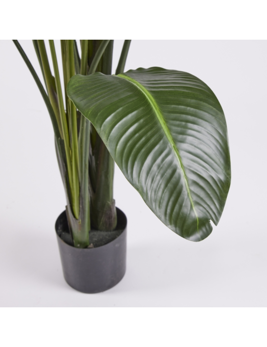Pianta Artificiale Strelitzia H260 cm con Vaso...