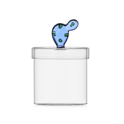 box cactus blu