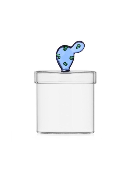box cactus blu