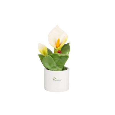 Pianta Artigianale con Fiore Calla Media – Decorazione...