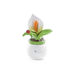 Gli Alberelli Piantina piccola di calla 15 cm