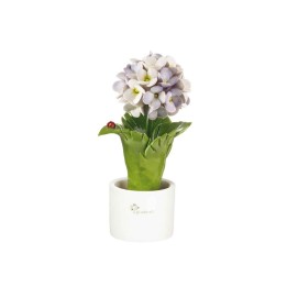 Gli Alberelli Piantina di ortensia lilla 18 cm
