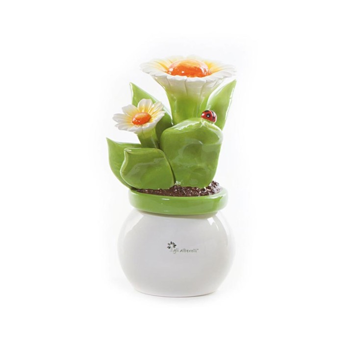 Gli Alberelli Piantina media di margherita 23 cm
