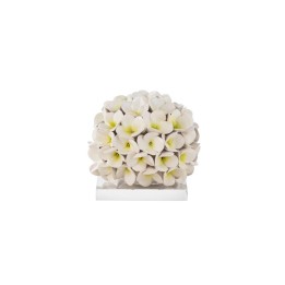 Gli Alberelli Ortensia bianca con base 19 × 19 × 18 cm