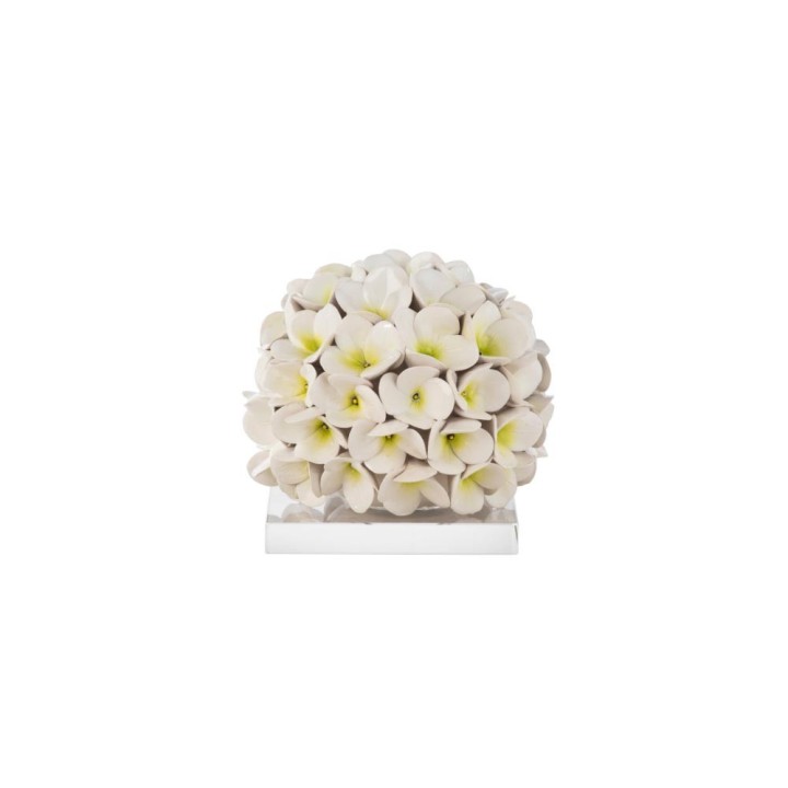 Gli Alberelli Ortensia bianca con base 19 × 19 × 18 cm