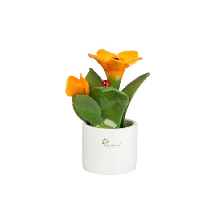 Gli Alberelli Pianta media con fiore arancio 14 × 14 × 20 cm