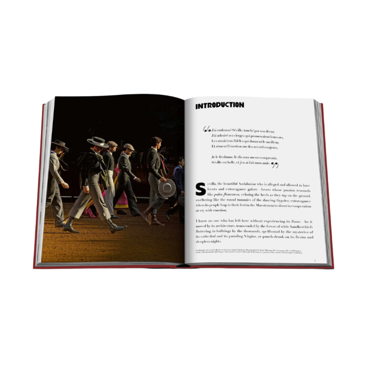 Assouline Libro Sevilla Arte copertina in lino