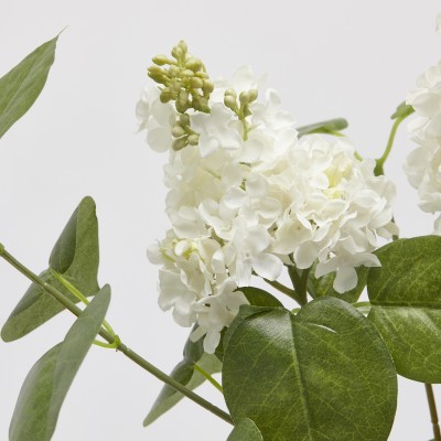 LILLA' RAMO C/FOGLIE H66 2