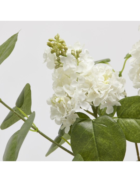 LILLA' RAMO C/FOGLIE H66