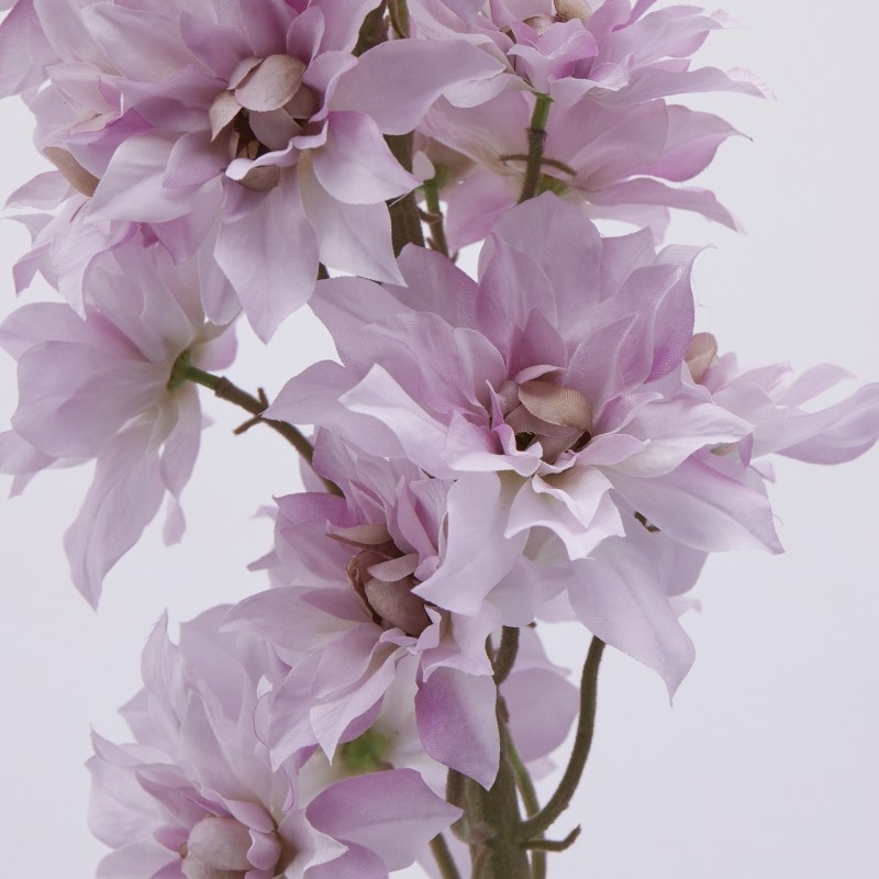 Delphinium Ramo H135 Mauve EDG – Fiore...