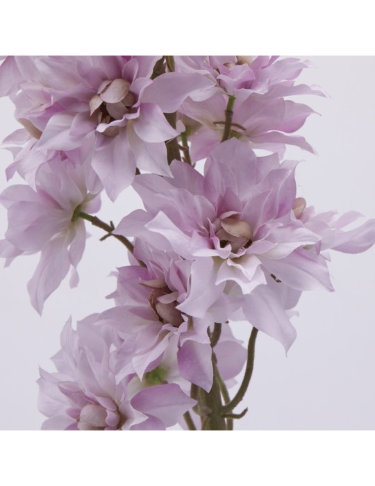 Delphinium Ramo H135 Mauve EDG – Fiore...