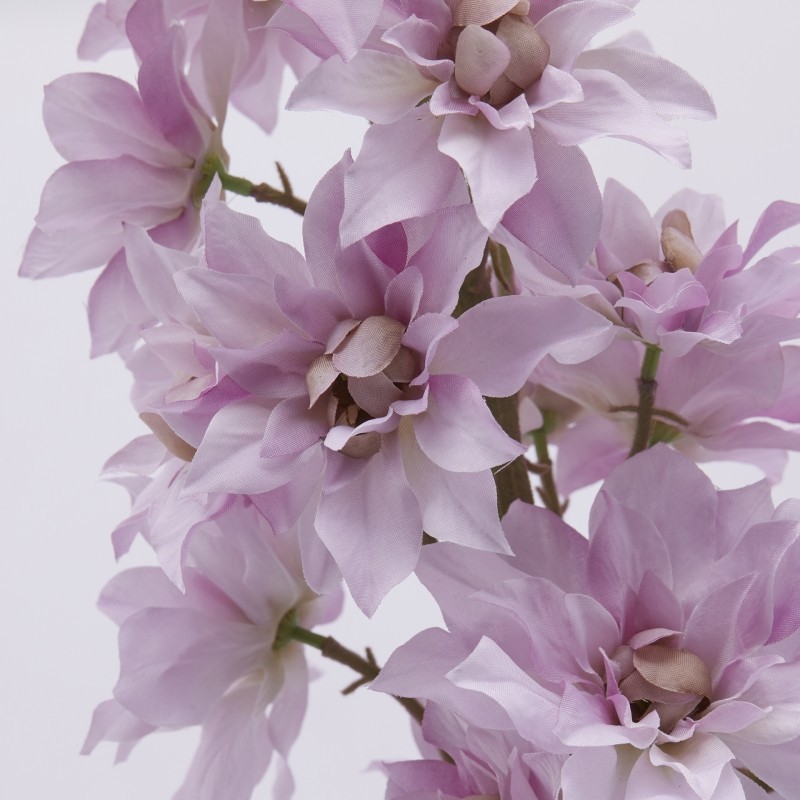 Delphinium Ramo H135 Mauve EDG – Fiore...