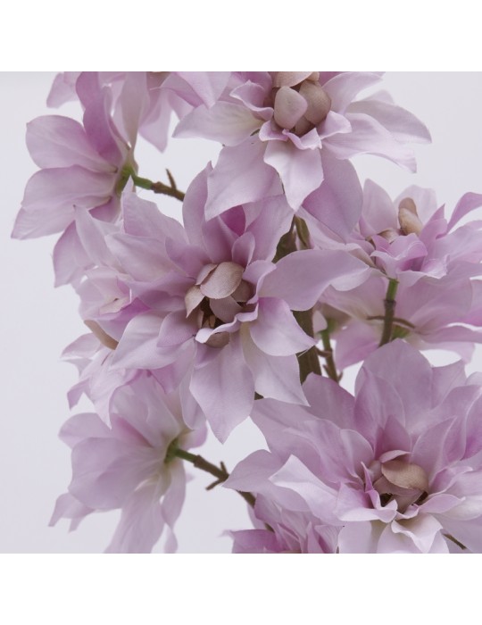 Delphinium Ramo H135 Mauve EDG – Fiore...
