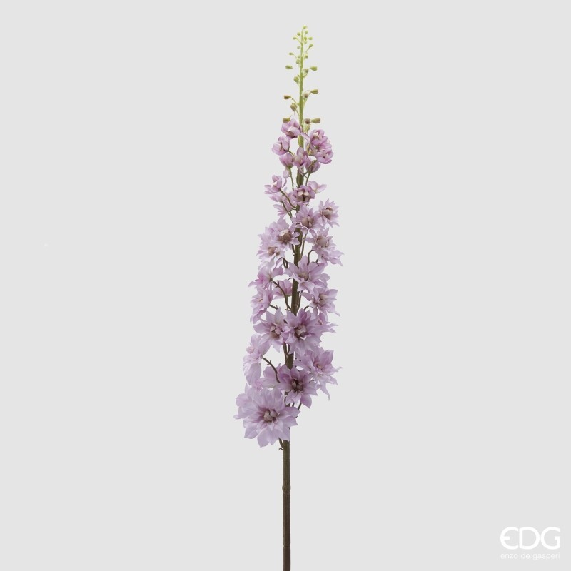 Delphinium Ramo H135 Mauve EDG – Fiore...