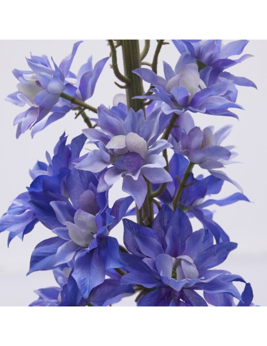 Delphinium Ramo H135 Indigo EDG – Fiore...