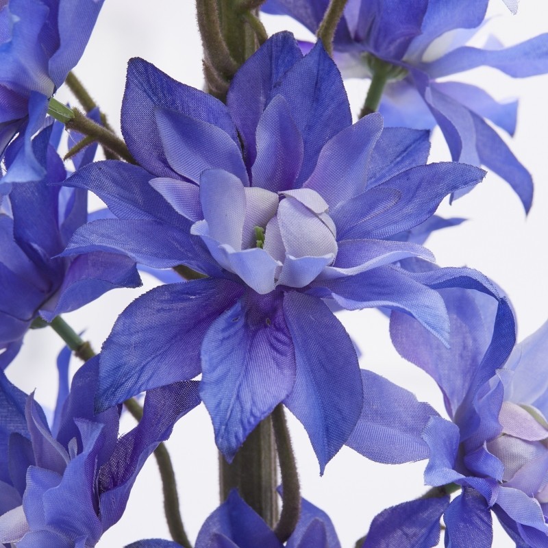 Delphinium Ramo H135 Indigo EDG – Fiore...
