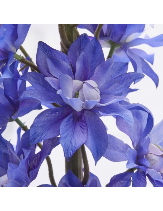 Delphinium Ramo H135 Indigo EDG – Fiore...