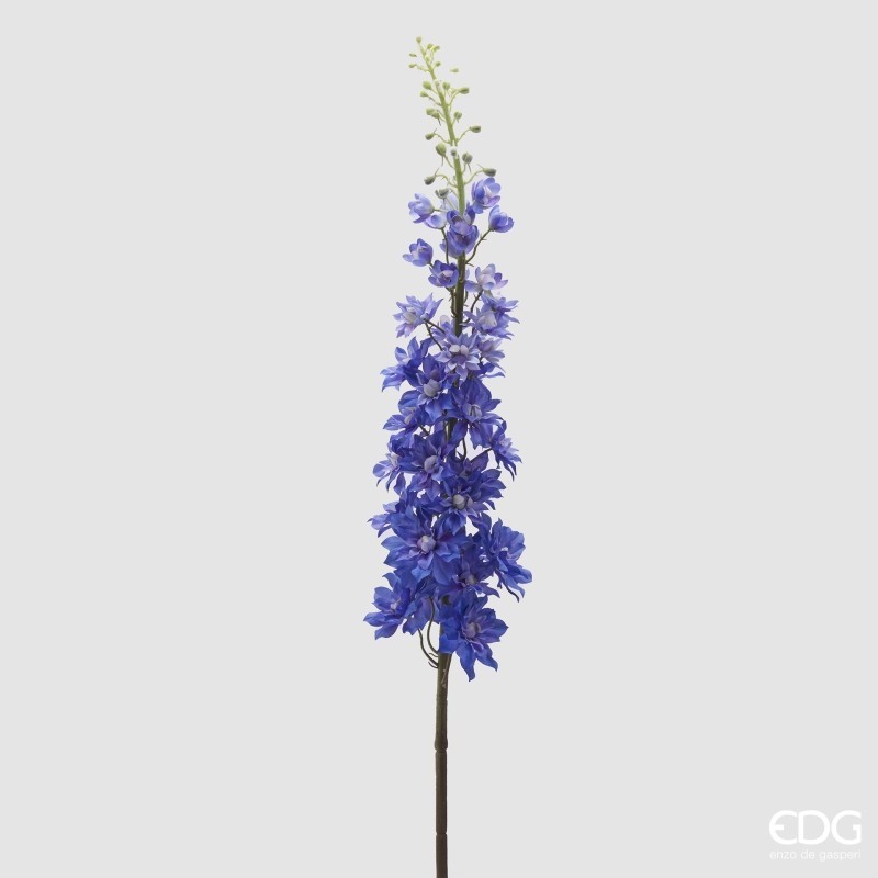 Delphinium Ramo H135 Indigo EDG – Fiore...