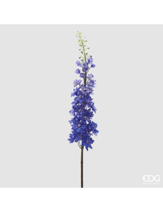 Delphinium Ramo H135 Indigo EDG – Fiore...