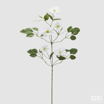 CLEMATIS RAMO X5 C/FOGLIE C/BOCCIOLO H105
