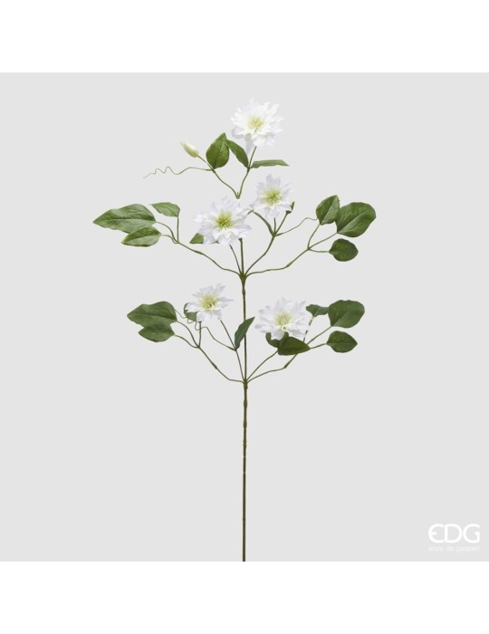 CLEMATIS RAMO X5 C/FOGLIE C/BOCCIOLO H105