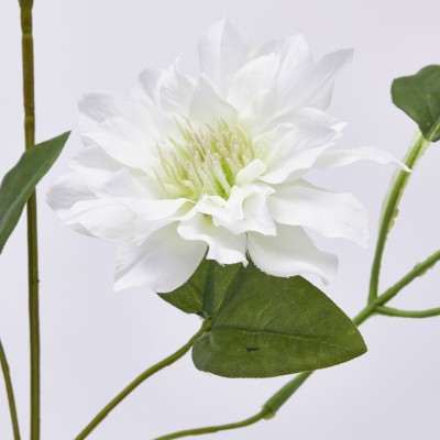 CLEMATIS RAMO X5 C/FOGLIE C/BOCCIOLO H105  2