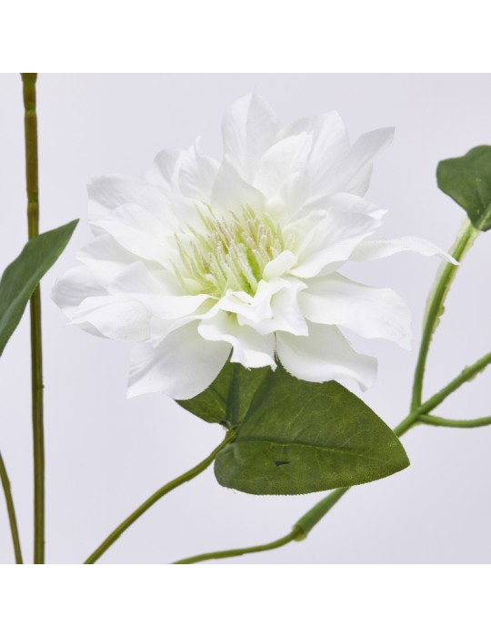 CLEMATIS RAMO X5 C/FOGLIE C/BOCCIOLO H105