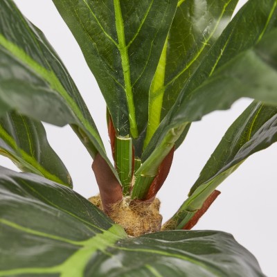 Ficus Lyrata Cespuglio H70 EDG – Pianta Artificiale... 2