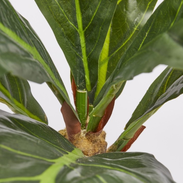 EDG Cespuglio di ficus lyrata artificiale alto 70 cm