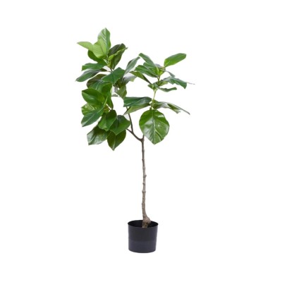 Pianta Artificiale Ficus Chic H120 cm a 3 Rami con Vaso...