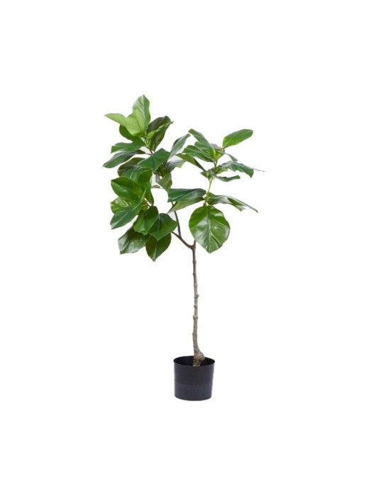 Pianta Artificiale Ficus Chic H120 cm a 3 Rami con Vaso Nero - Enzo De Gasperi (EDG)