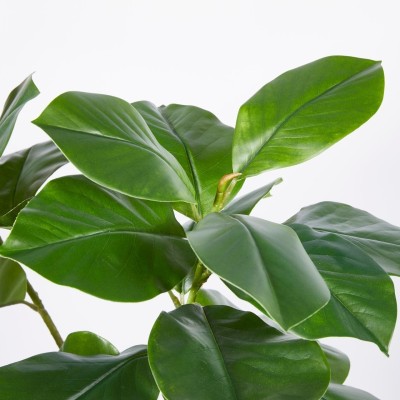 Pianta Artificiale Ficus Chic H120 cm a 3 Rami con Vaso... 2