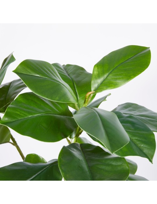 Pianta Artificiale Ficus Chic H120 cm a 3 Rami...