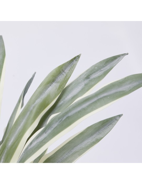 Agave Succulent Artificiale H45 con Vaso – EDG...
