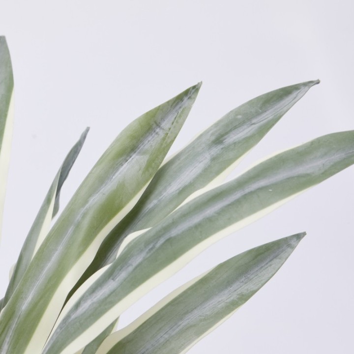 EDG Agave Succulent artificiale con vaso alta 45 cm
