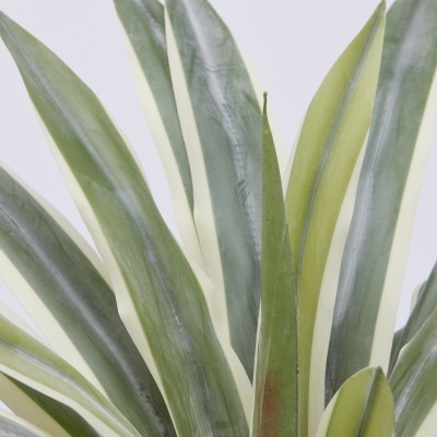 Agave Succulent Artificiale H45 con Vaso – EDG Enzo De... 2