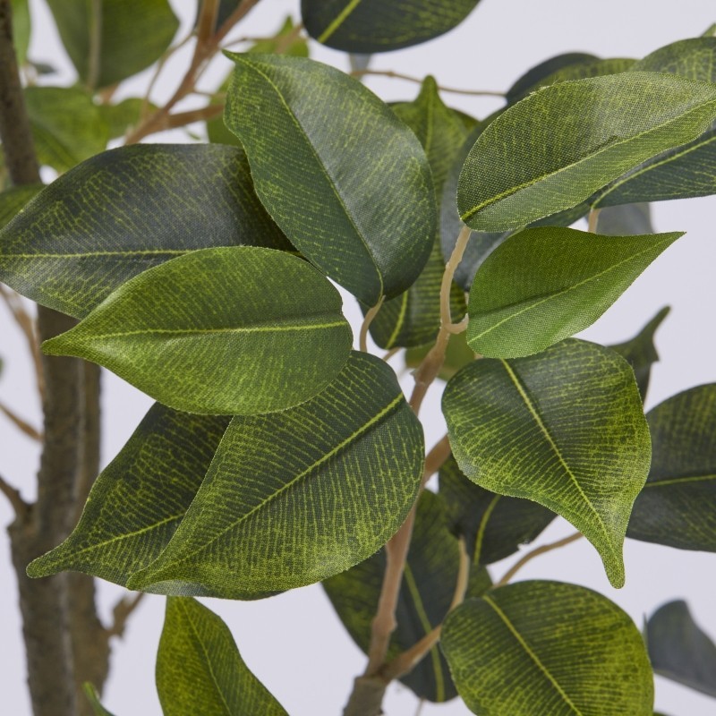 Pianta Artificiale Ficus H60 cm con Vaso - Enzo...
