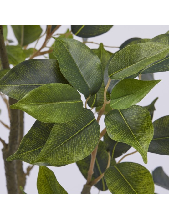 Pianta Artificiale Ficus H60 cm con Vaso - Enzo...